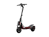 Segway-Ninebot, Patinete eléctrico, Modelo ZT3 Pro E para Adultos, 25 km/h de Velocidad máxima, ​​70 km de autonomía, Intermitentes, Suspensión Delantera