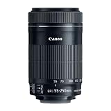 Canon EF-S 55-250 mm F4-5.6 es Lente STM para cámaras Canon SLR (renovado)