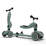 Scoot & Ride 6271376, Patinete Unisex Adulto, Bosque., 1 Unidad Paquete De