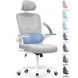 naspaluro Silla Oficina Ergonómica Soporte Lumbar, Malla Transpirable 136kg | Silla Escritorio Oficina con Reposacabezas Regulable, Altura Regulable, Reposabrazos Para Oficina y Hogar, Mejora Gris