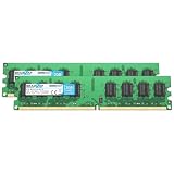 BRAINZAP 4GB (2x2GB) DDR2 667MHz PC2-5300U-555 DIMM CL5 2Rx8 1.8V Unbuffered Non-ECC Memoria RAM para PC de sobremesa Módulo de Memoria Memory