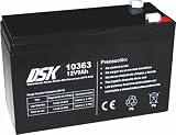 DSK Batería de Plomo AGM Sellada VRLA Alta Descarga 12V 9Ah Recargable sin Mantenimiento para UPS SAI, Respaldo de Energía y Seguridad. Alta durabilidad. Compatible con terminales F1 y F2