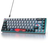 Ussixchare Teclado mecánico de 68 teclas, 65 por ciento, retroiluminado por LED, ultra compacto, con cable con interruptor rojo, para Windows Laptop Gamer (68Dolch)