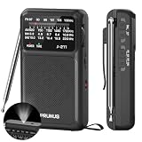 PRUNUS J-211 Am/SW/FM Radio Pilas AA y Carga USB-C, para Caminar, Viajar