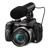 Panasonic Lumix DMC-FZ100 - Cámara digital de 14,1 MP con zoom óptico estabilizado de imagen de 24x y LCD de 7,6 cm, color negro