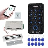 FUSYTULY Sistema de Control de Acceso WiFi Tuya Teclado Biométrico RFID IP68 Impermeable 125KHz 13,56 MHz Cerradura de Huellas Dactilares + Cerradura Electromagnética 180KG + 10 Tarjetas