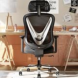 HOLLUDLE Silla de Oficina ergonómica con Soporte Lumbar 3D y reposabrazos 3D Ajustables – Diseño en Forma de V, Silla de Escritorio cómoda para Oficina y hogar, Negra